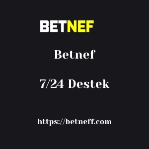 Betnef 7/24 Destek
