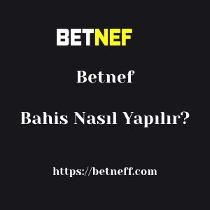 Betnef Bahis Nasıl Yapılır?