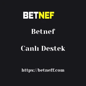Betnef Canlı Destek