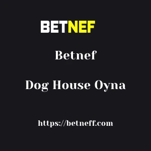 Betnef Dog House Oyna