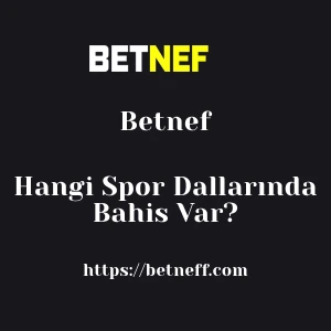 Betnef Hangi Spor Dallarında Bahis Var?